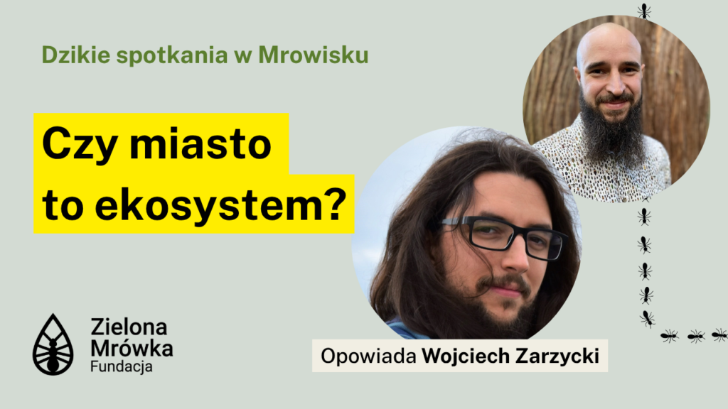 Czy miasto to ekosystem?