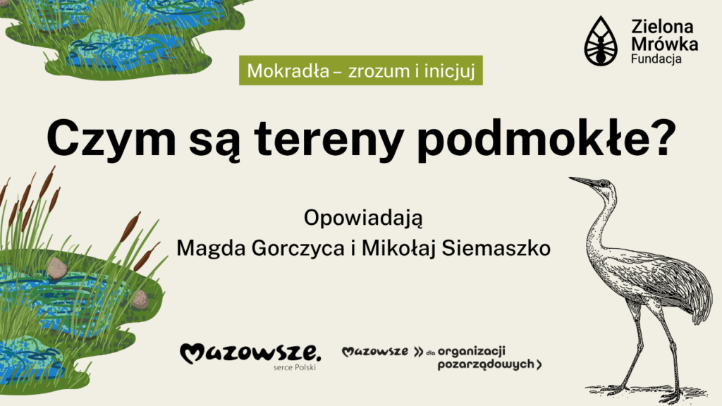 Czym są tereny podmokłe?