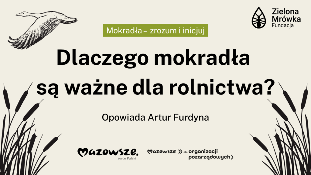Dlaczego mokradła są ważne dla rolnictwa?