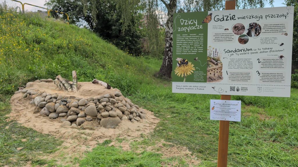 Domy z piasku dla dzikich pszczół. Budujemy sandarium w Radlinie - Zostań obserwatorem sandariumv