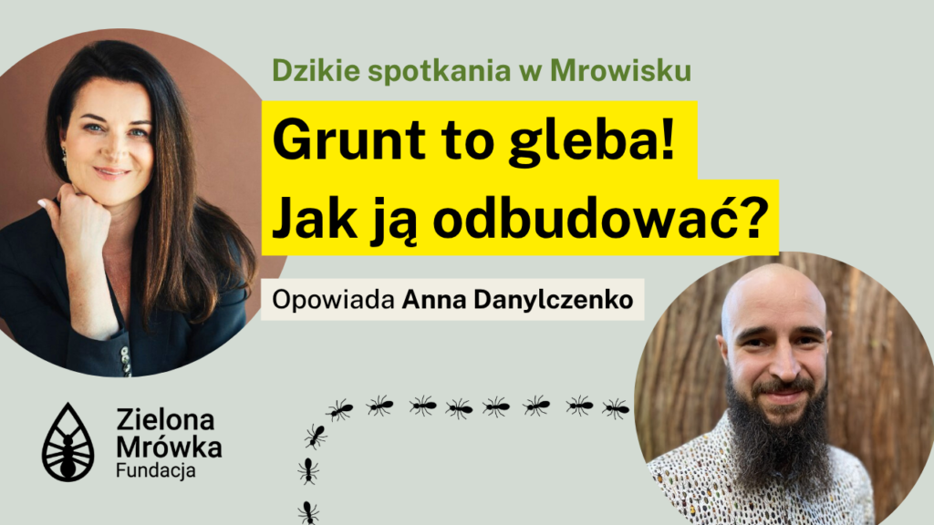 Grunt to gleba! Jak ją odbudować?