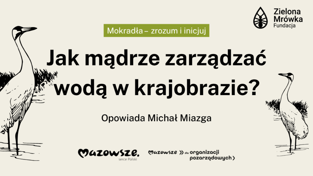 Jak mądrze zarządzać wodą w krajobrazie?