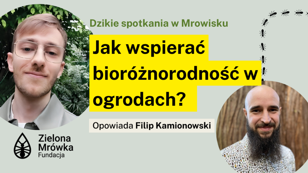 Jak wspierać bioróżnorodność w ogrodach?