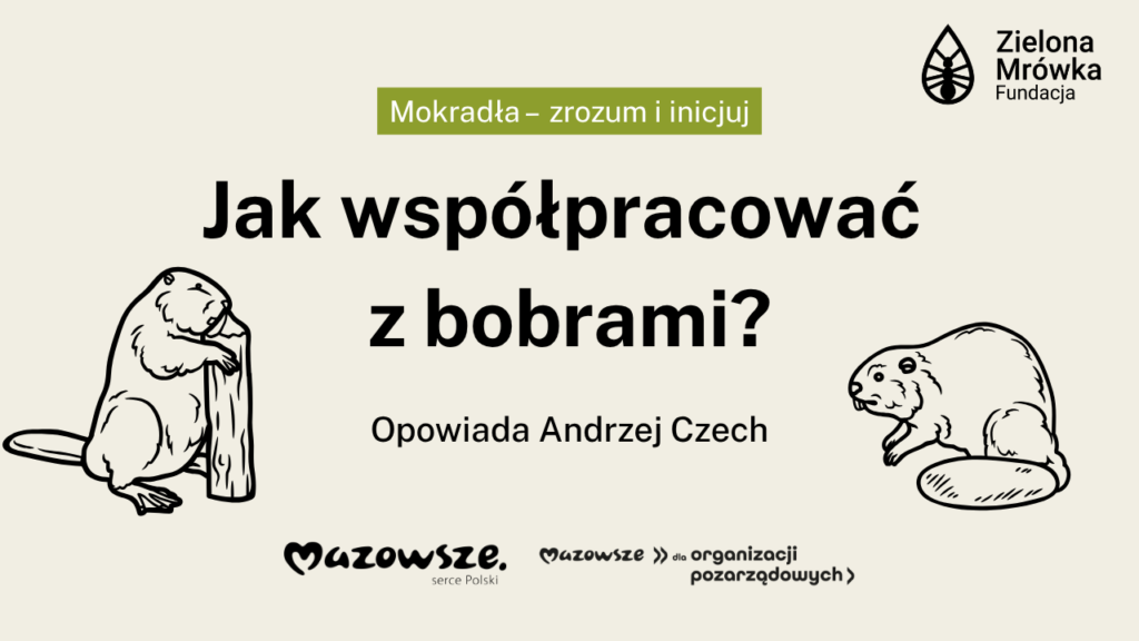Jak współpracować z bobrami?