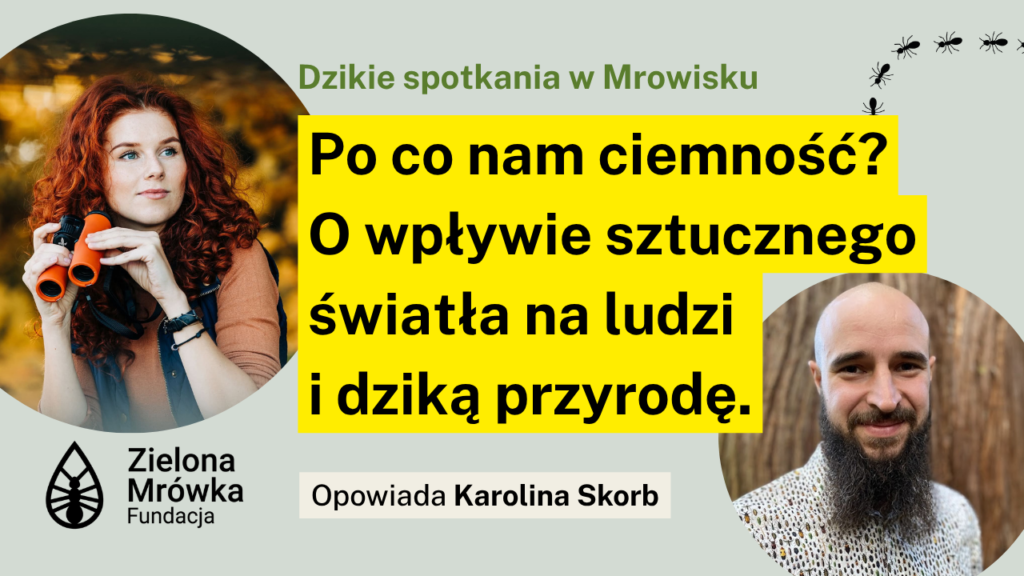 Po co nam ciemność? O wpływie sztucznego światła na ludzi i dziką przyrodę